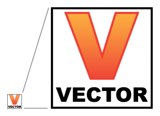 vector image