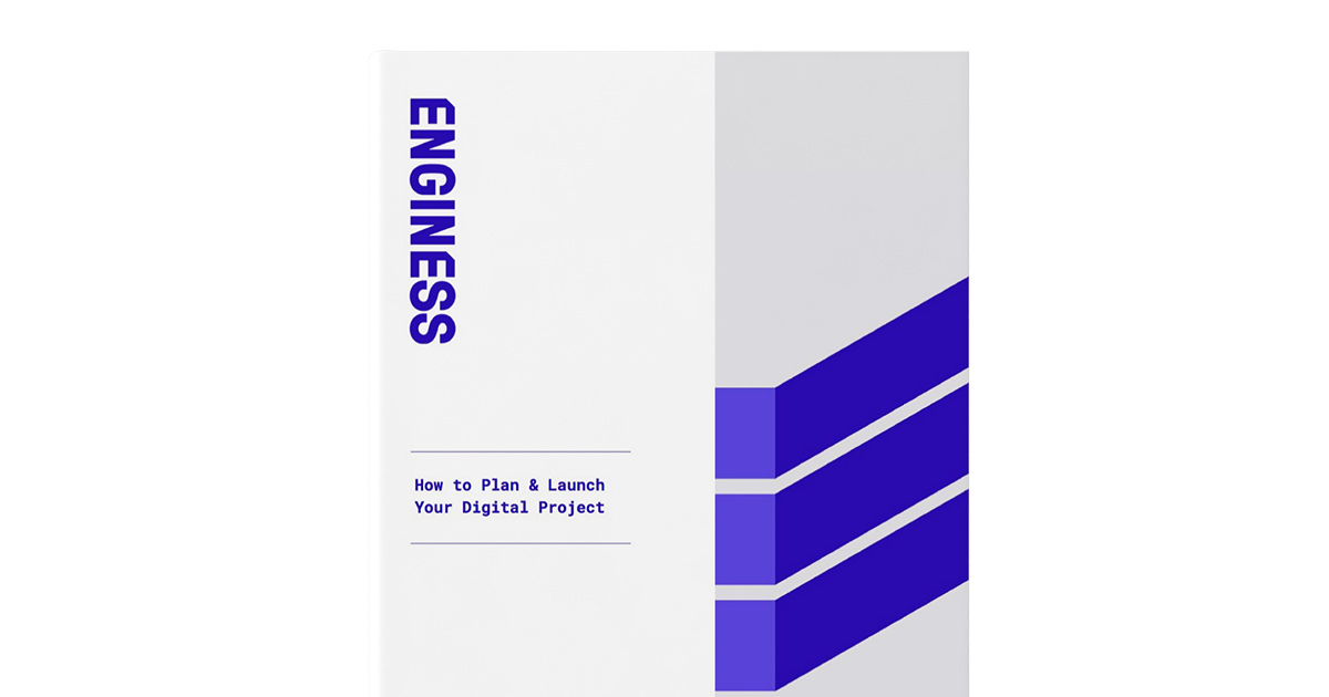 Enginess website project book guide